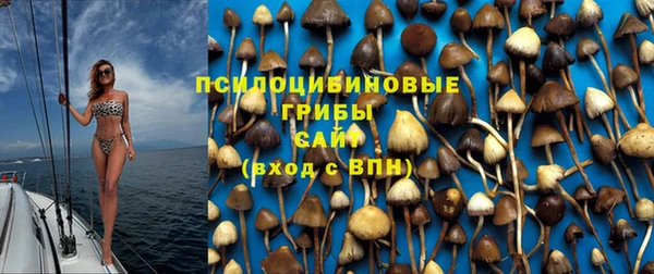 прущие грибы Покровск