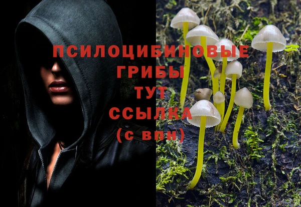 соль курить ск Абаза