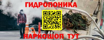 гашик Шебекино