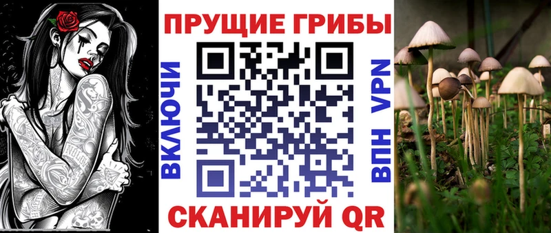 Галлюциногенные грибы Cubensis  Алейск 