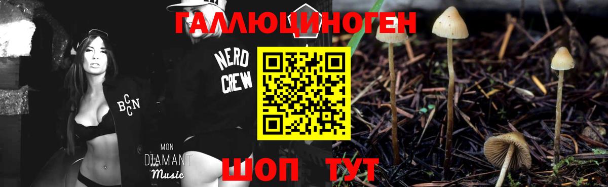 Псилоцибиновые грибы GOLDEN TEACHER Алейск