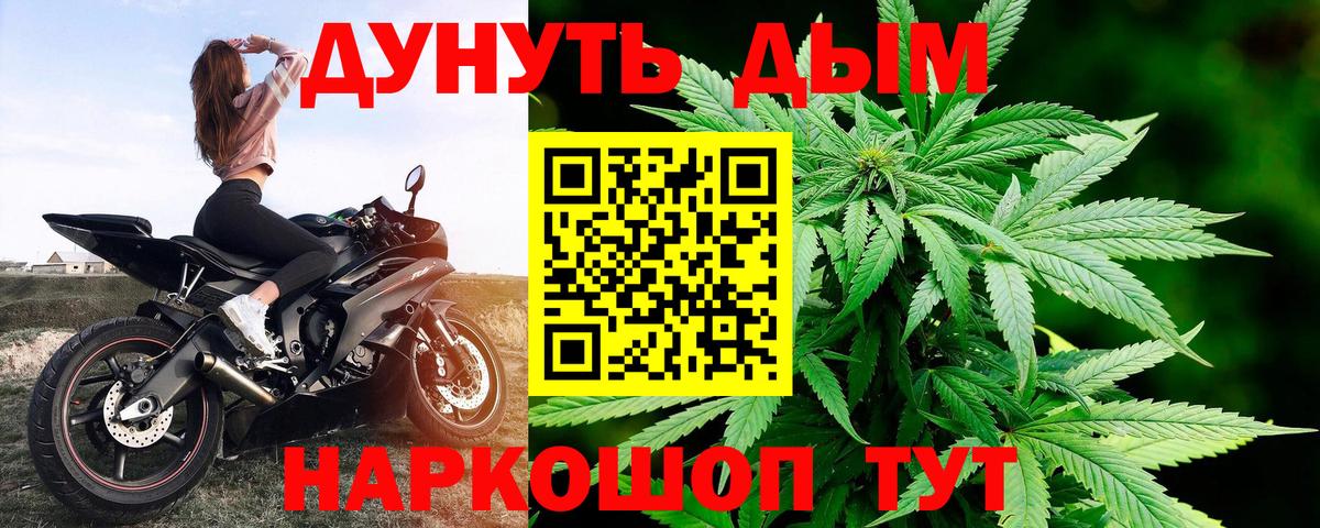 Алейск  Каннабис сатива  Канабис Amnesia  Вход с VPN 